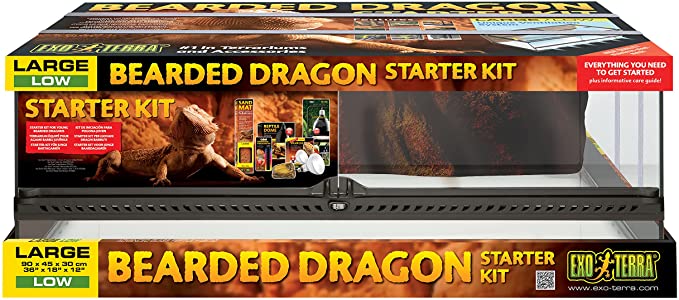 kit inicio dragon barbudo